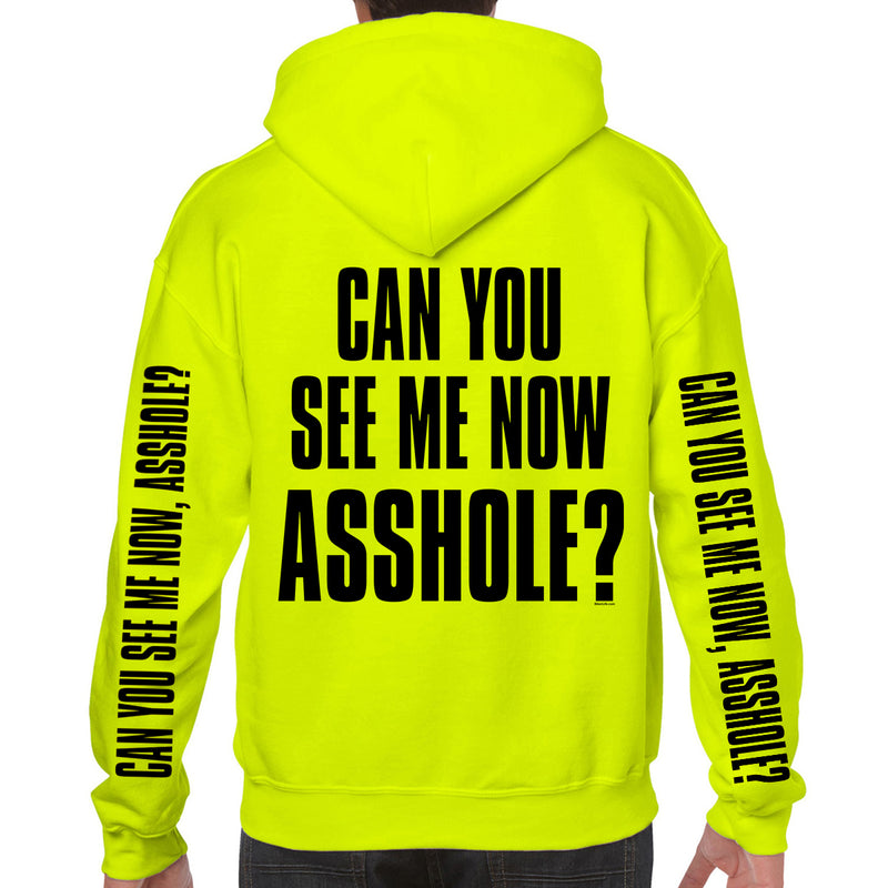 Can You See Me Now A**hole? Pullover Hoodie